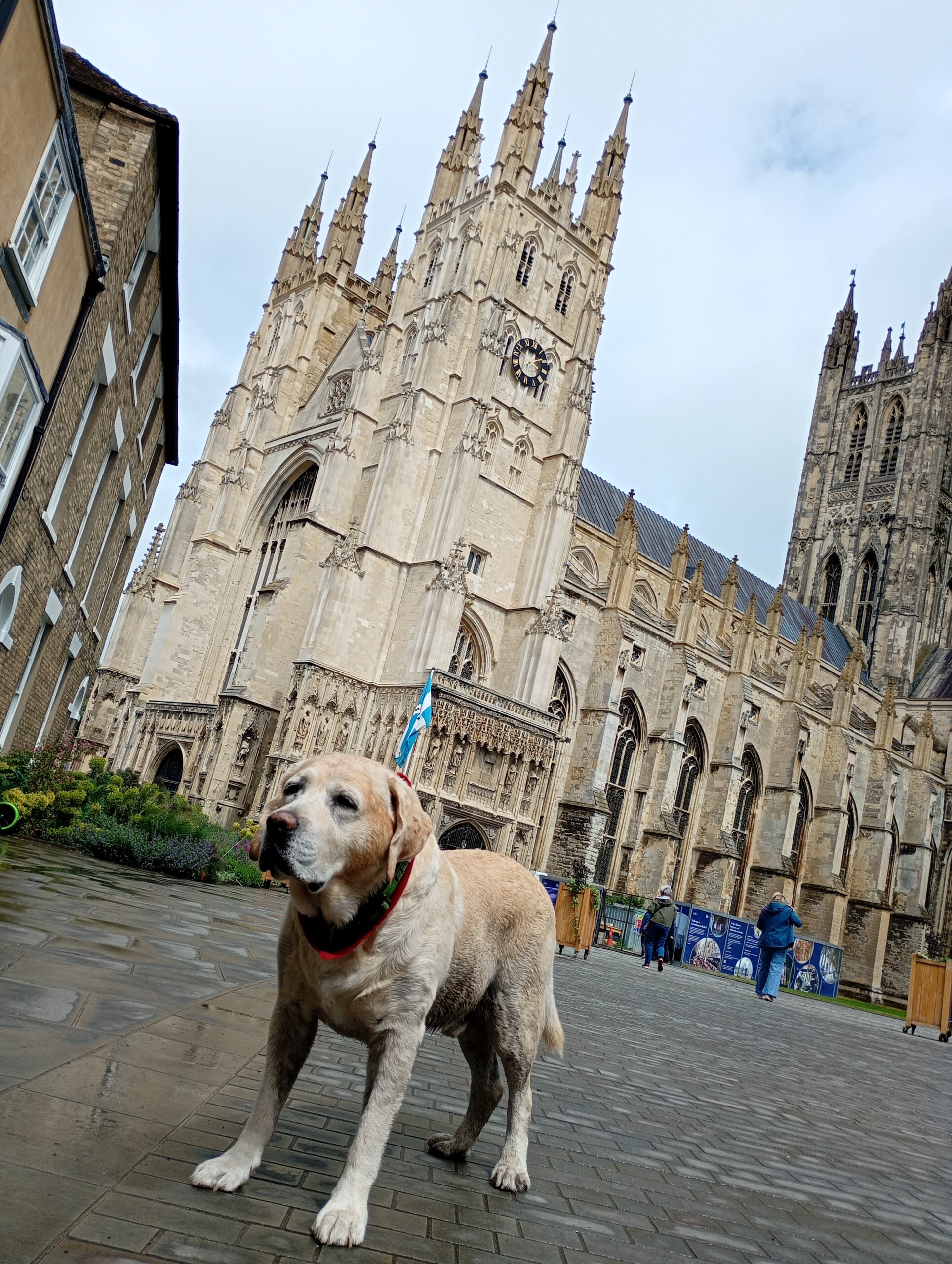 Day 20 – Canterbury Cathedral!